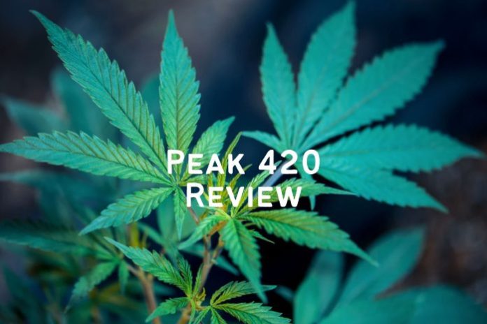 Peak 420 review