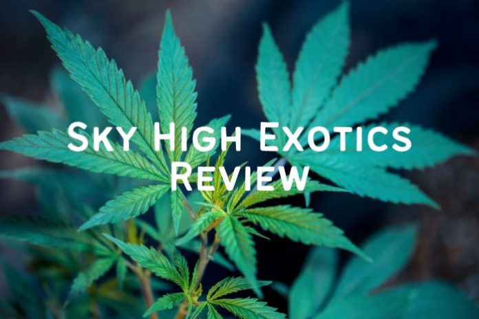 Sky High Exotics review